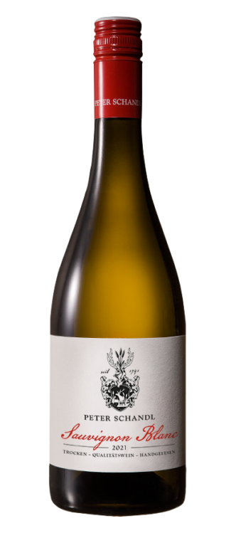 Sauvignon Blanc 2023