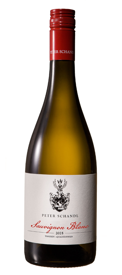 Sauvignon Blanc 2025