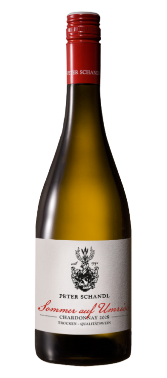 Sommer auf Umriss 2025