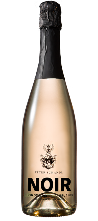 NOIR-Pinot Noir Extra Brut 2023