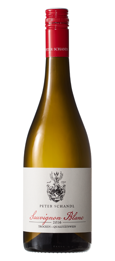 Sauvignon_Blanc_2016