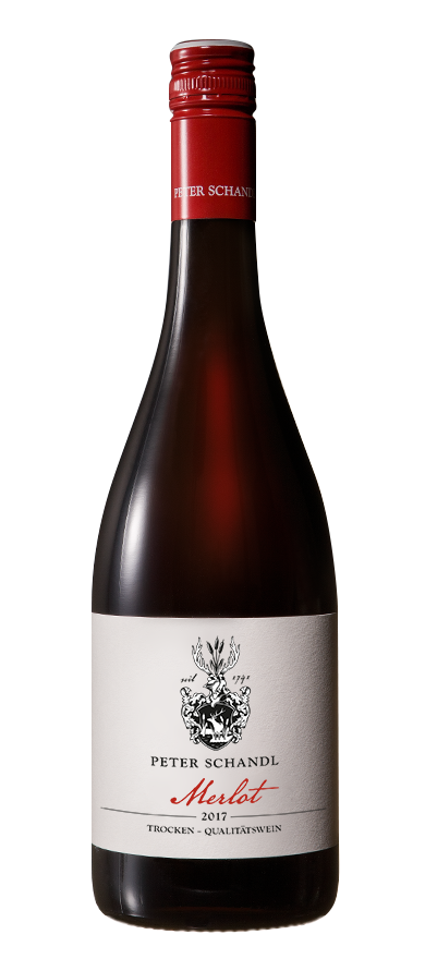 schandl_Merlot_2017_guteLine_72