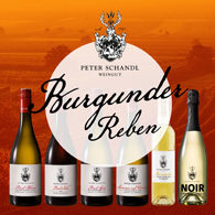 Burgunder